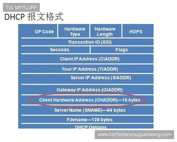 AG国际正规网址的客户服务体系全面解析为玩家提供全天候支持